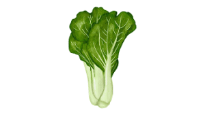 Lettuce