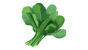Spinach